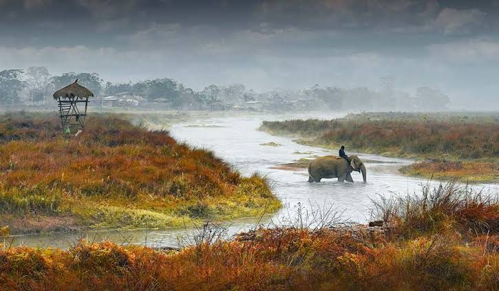 Chitwan Jungle Safari